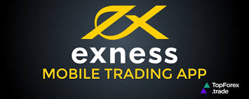 Exploring the Exness Web Platform A Gateway to Online Trading